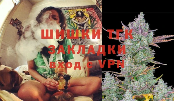 дурь Алзамай