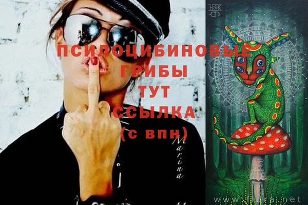 твердый Алексин