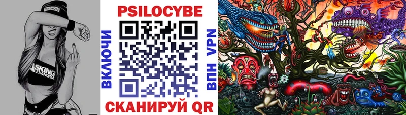 где купить наркоту  Шуя  Галлюциногенные грибы Psilocybine cubensis 