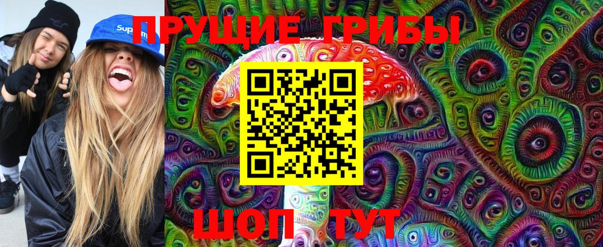 Галлюциногенные грибы Cubensis  Вход с VPN  Шуя 