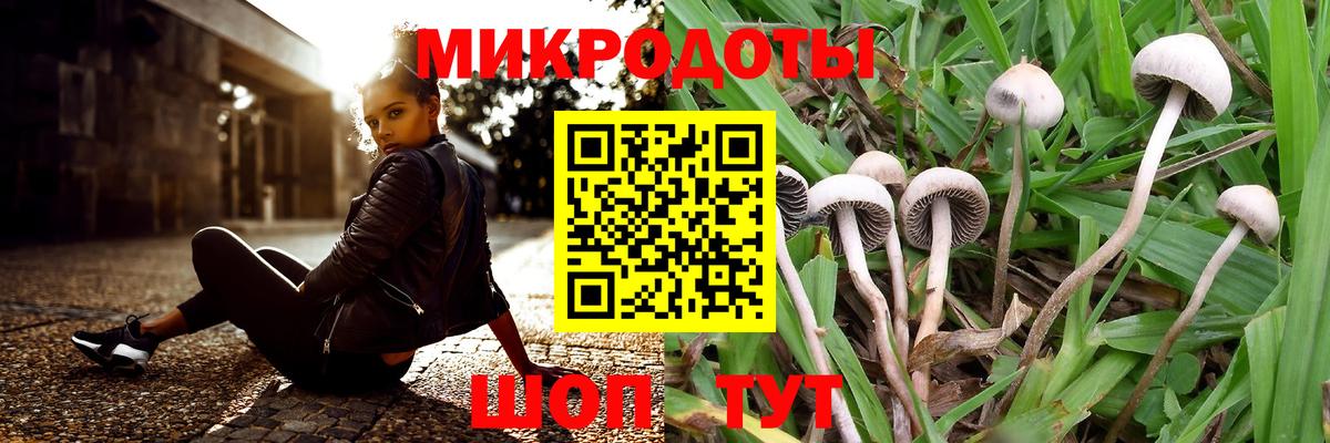 Псилоцибиновые грибы Cubensis Шуя
